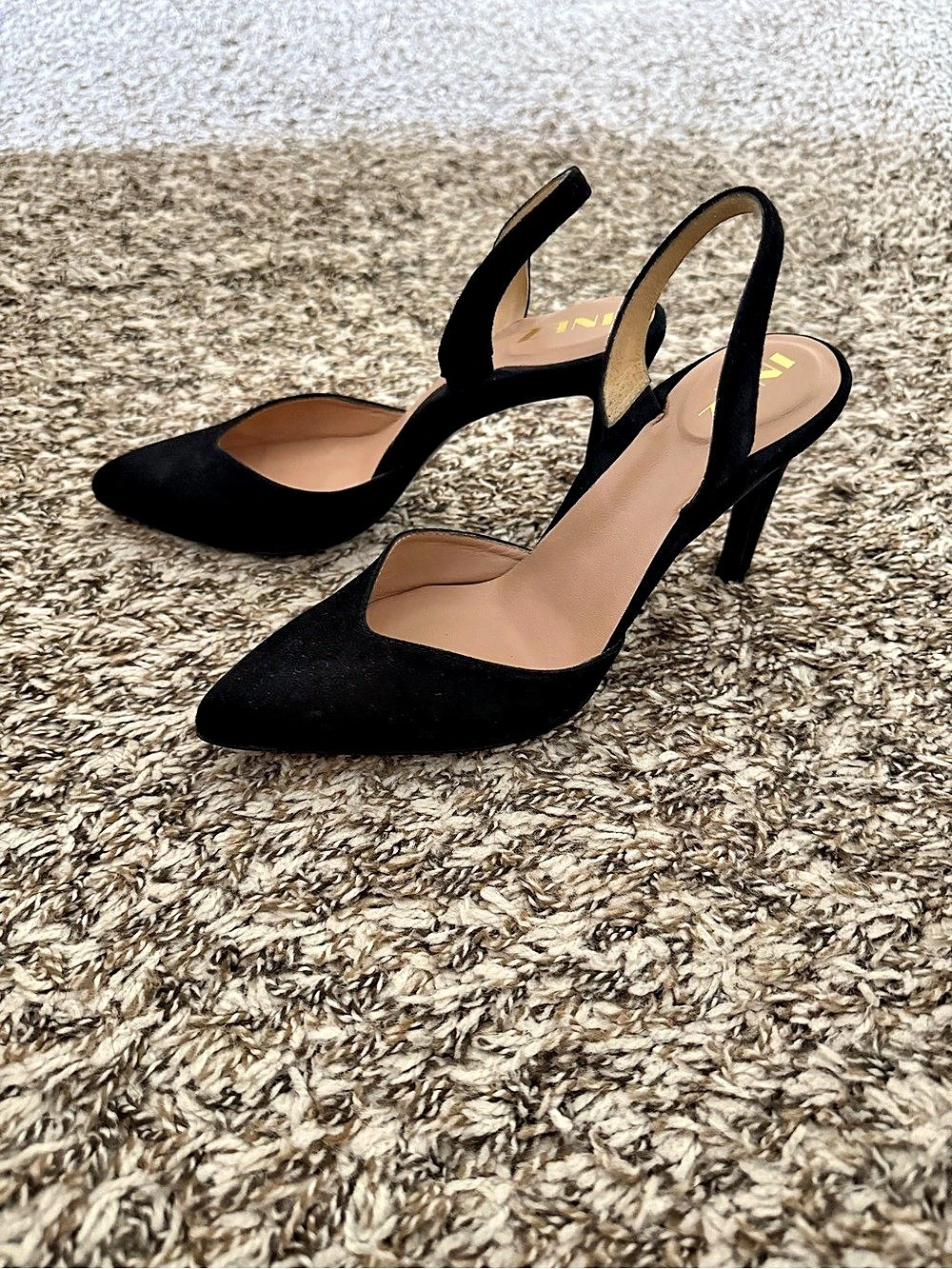 Inez Diana Slingback Pointed Toe Heels